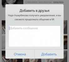 Pregled: Što je "VKontakte"?