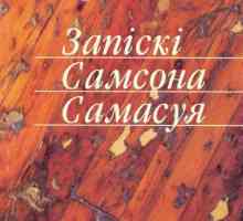 Pregled i kratki sažetak Samsonova Samsonova Bilješke