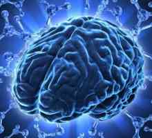 Fokalne promjene u mozgovima diskretijalne prirode: simptomi, dijagnoza i liječenje