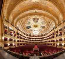 Odsjek Opera i baletno kazalište: adresa, povijest, repertoar