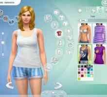 Odjeća u Sims 4: kako instalirati?