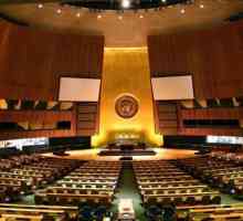 Službeni jezici Ujedinjenih naroda. Koji su jezici službeni u UN-u?