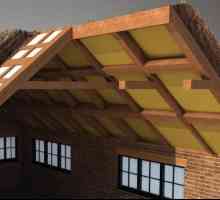 Liječenje drvenih tavanskih konstrukcija: značajke