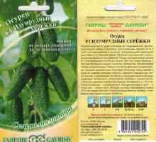 Krastavac Emerald catkins (F1): recenzije, opisi, specifikacije, kultivacija