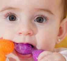 Hlađenje zubaca za zube - što je bolje i kako odabrati? Od koje dobi mogu kupiti dječji zadirkivač?