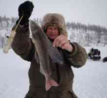 Lov i ribolov u Sibiru: glavna obilježja