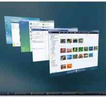 Prozor sustava Windows: Prikazi, osnovni elementi