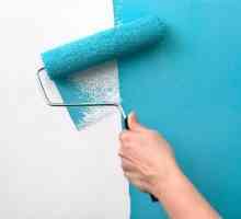 Slikanje zidova i stropova: savjeti i trikovi