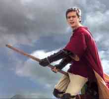 Oliver Wood - kapetan Gryffindor tima