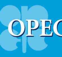 OPEC: dekodiranje i funkcije organizacije. Popis zemalja OPEC-a