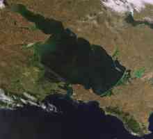 Opis Azovskog mora: područje, dubina i fauna
