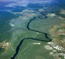 Opis, karakteristike, fotografija rijeke Orinoco