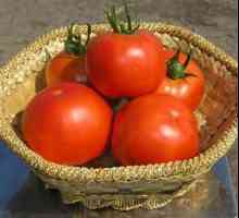 Opis i značajke uzgoja rajčice Bagheera