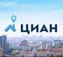 Opis i ocjena agencija za promet nekretninama u Moskvi