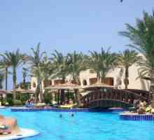 Hotel s tri zvjezdice u Palmyra Amar el Zaman 4