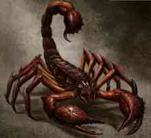 Opis rođenog u godini zvanom Rat: Škorpion je čovjek