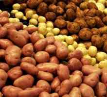 Opis sorte krumpira Nevsky. Karakteristike i recenzije