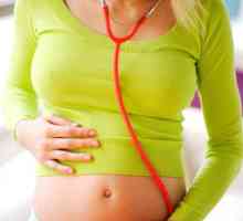 Određivanje spola bebe srca i urina