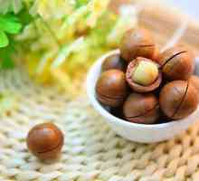 Macadamia Nut: korisna svojstva, okus, primjena