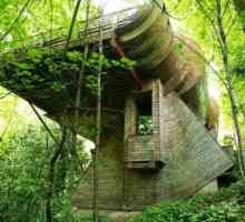 Organska arhitektura. Frank Lloyd Wright. Kuća iznad vodopada