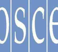 Organizacija za sigurnost i suradnju u Europi (OESS): struktura, ciljevi