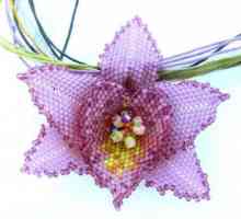 Orhideja od perli. Master-klasa: jednostavno