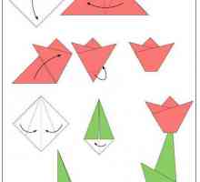 Оригами для детей 4-5 лет: схемы и идеи