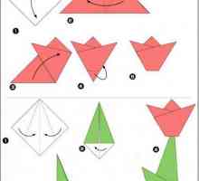 Origami za početnike: karte, detaljne upute