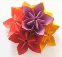 Origami papira: shema za početnike. Origami: sheme boja. Origami za početnike: cvijet