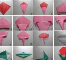 Origami `rose`: sheme montaže