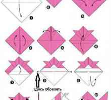 Origami ribe. Jednostavna riba i modularna shema