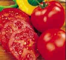 Izvorni recept: rajčice u želatini