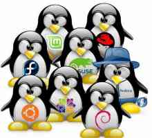 OS `Linux`. Što je ruski `Linux`: opis, karakteristike i recenzije