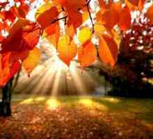 Jesen je solsticija drevni praznik
