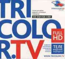 Pogreška "0" na "Tricolor TV" - što učiniti, kako to popraviti?