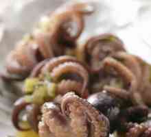 Octopus: recepti i značajke kuhanja