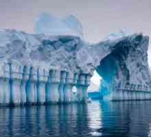 Glavne atrakcije Antarktike