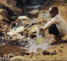 Glavni ekološki problemi u Africi