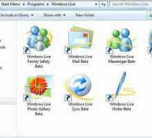 Glavne komponente programa Windows Live - kakav je ovaj program? Mogu li ga izbrisati?