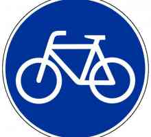 Основные права и обязанности велосипедиста (ПДД)