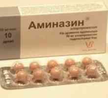 Glavne preporuke u uputama za uporabu`Aminazina `