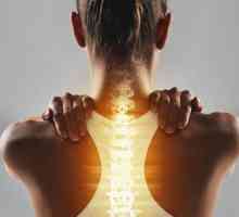Osteopat i ručni terapeut: koja je razlika između njih?