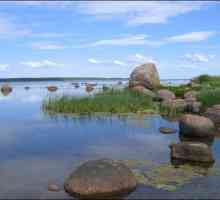 Otok velikih učitelja u Finskoj zaljevu: ekspedicija, fotografija