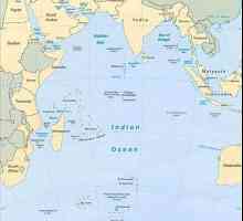 Otoci Indijskog oceana: opis i fotografije. Putovanje kroz otoke Indijskog oceana