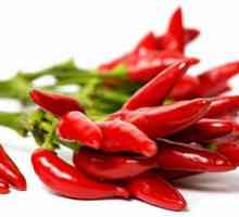 Hot pepper: šteta i koristi za tijelo