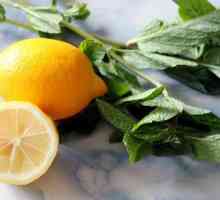 Osvježavajuće napitak od limuna i metvice