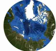Razvoj Arktika od strane Rusije: povijest. Strategija razvoja Arktika