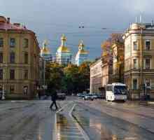 Od upražnjenog dijela do kulturne četvrti: Kazališni trg u St. Petersburgu