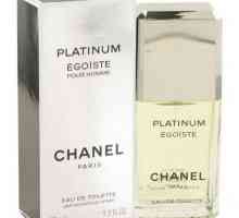 Od `Chanel` parfema za muškarce. Opis najboljih mirisa za snažniji seks