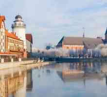 Odmorite se u regiji Kaliningrad: more, plaže, hoteli, ribolov